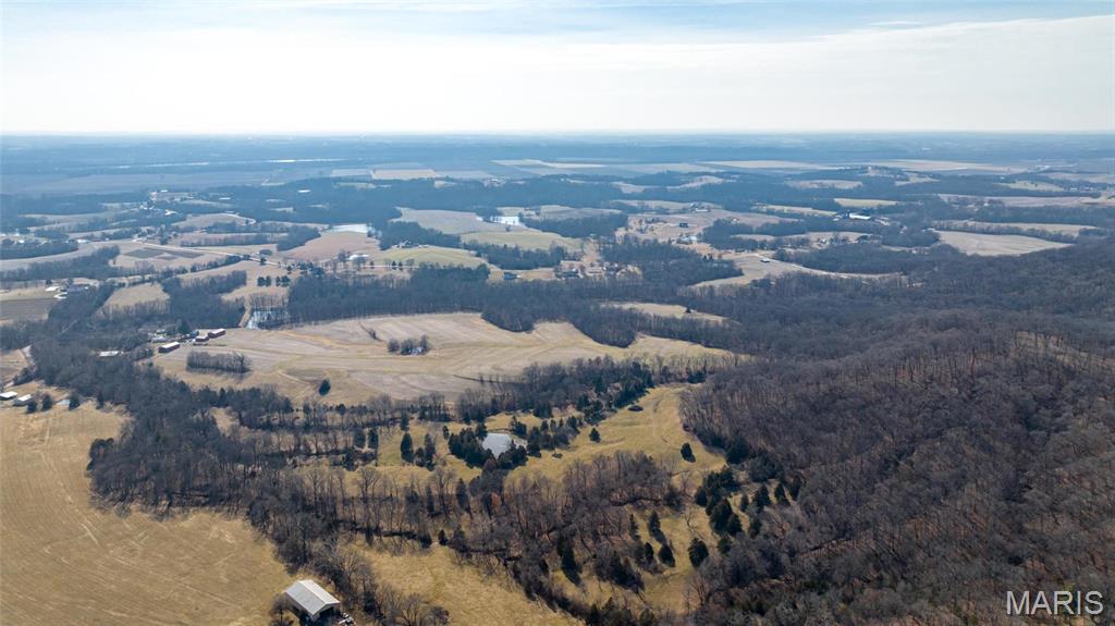 Newport Meadows future Dev - Farm