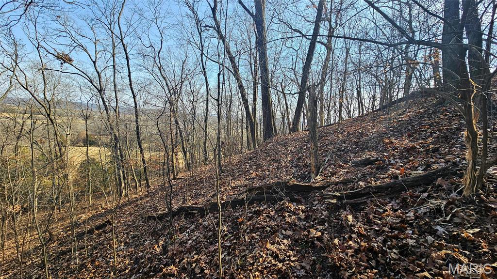 Newport Meadows future Dev - Farm