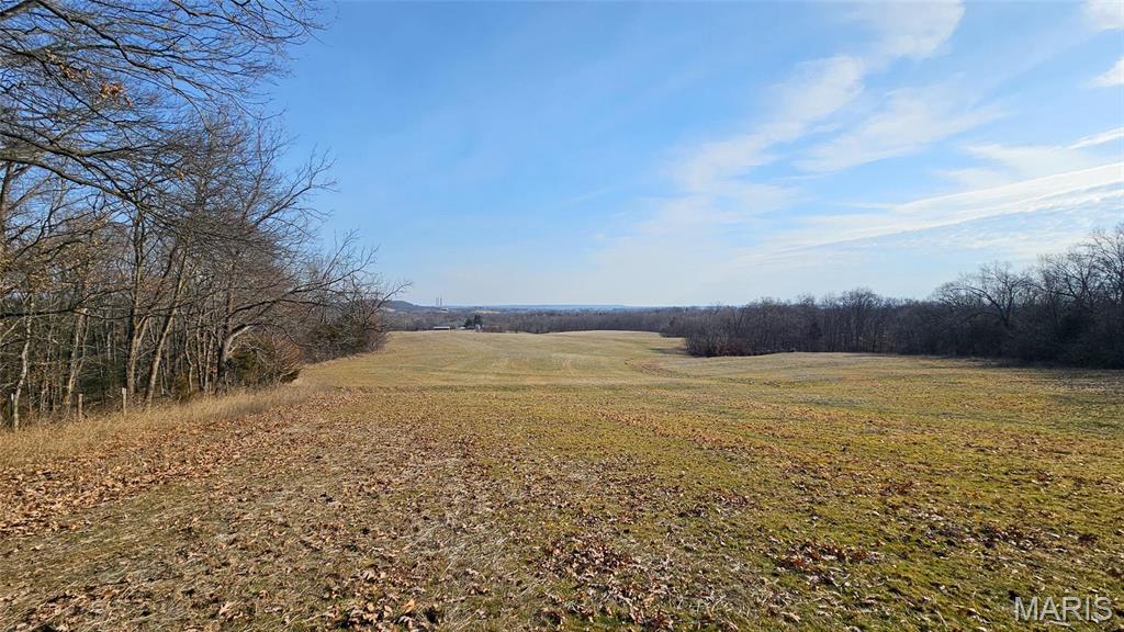 Newport Meadows future Dev - Farm