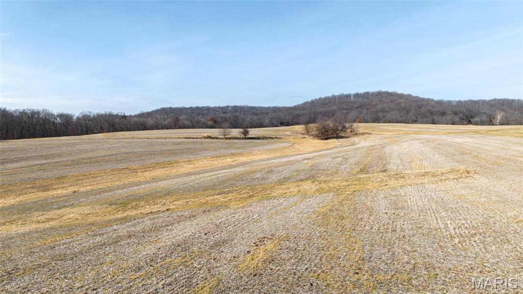 Newport Meadows future Dev - Farm