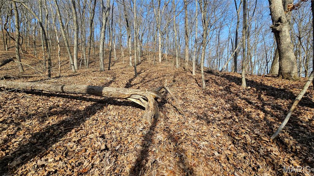Newport Meadows future Dev - Farm