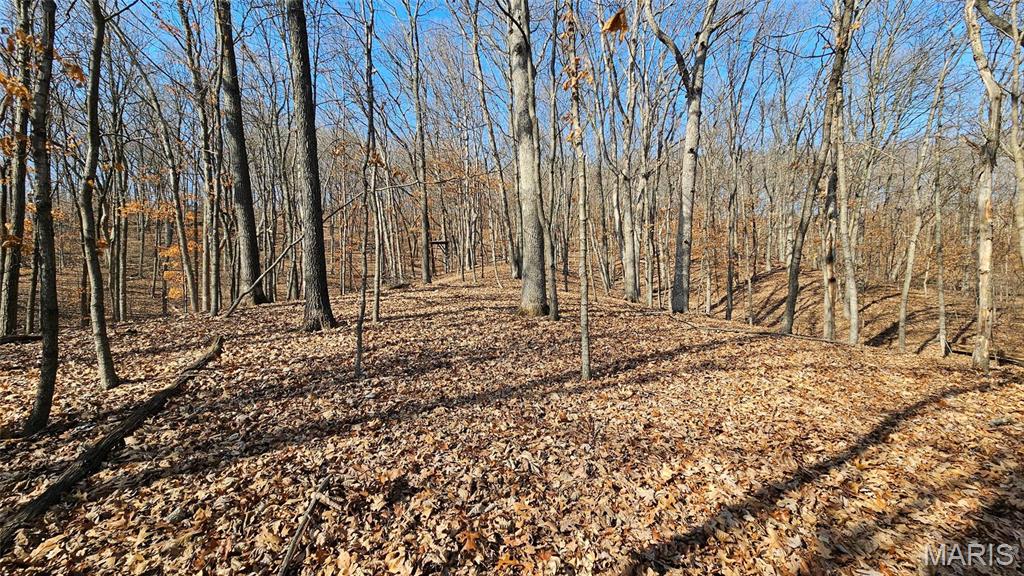 Newport Meadows future Dev - Farm