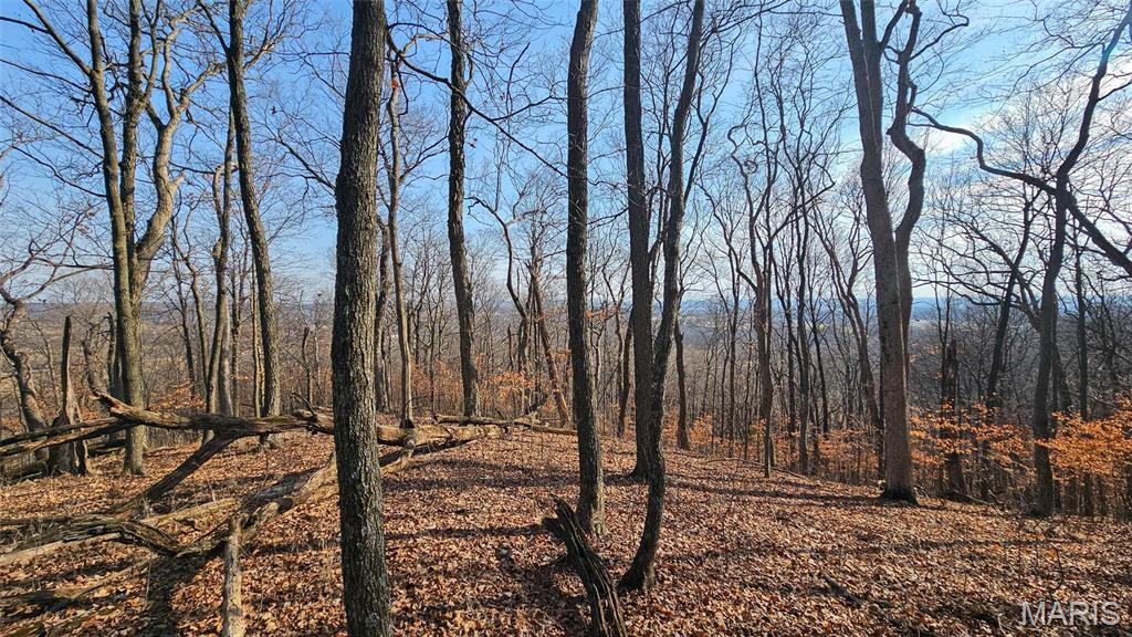 Newport Meadows future Dev - Farm