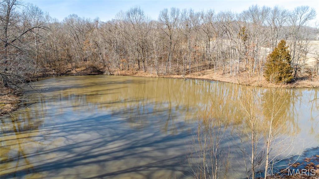 Newport Meadows future Dev - Farm