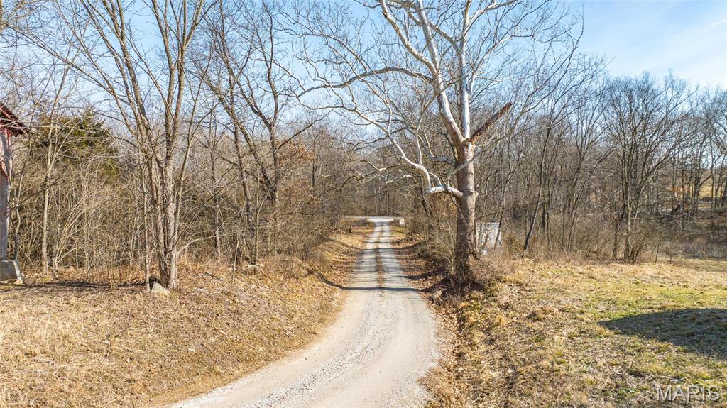 Newport Meadows future Dev - Farm