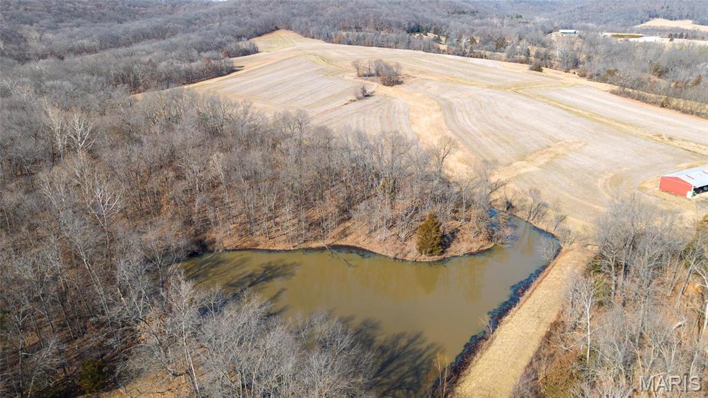 Newport Meadows future Dev - Farm