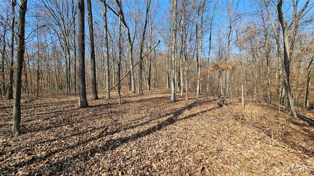 Newport Meadows future Dev - Farm