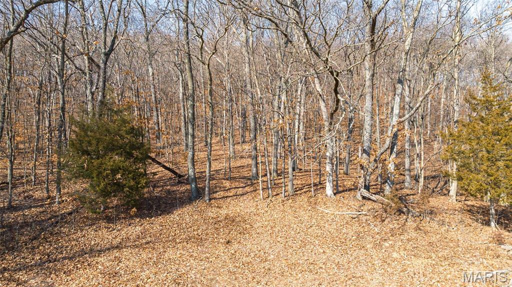 Newport Meadows future Dev - Farm