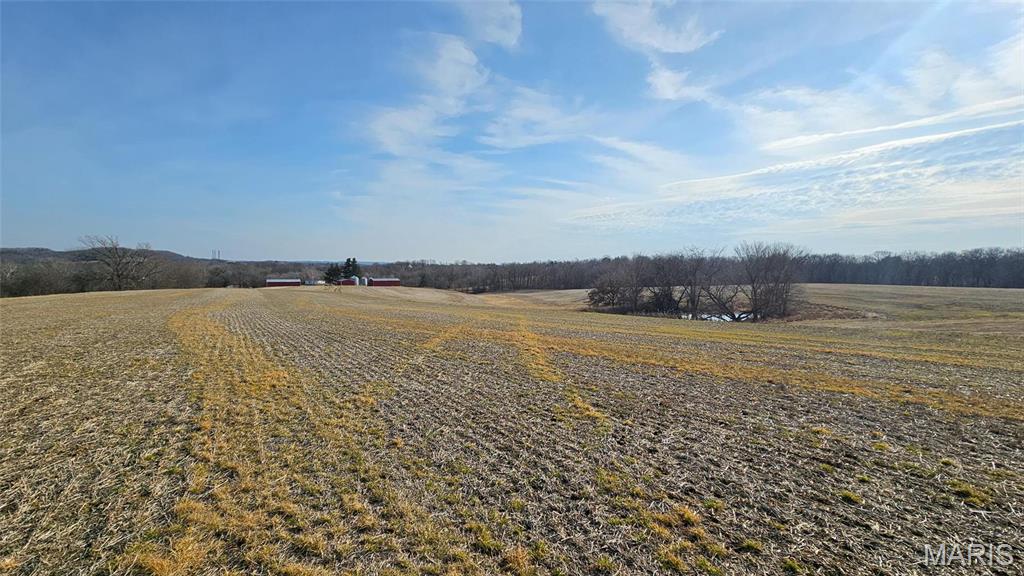 Newport Meadows future Dev - Farm