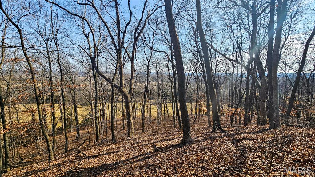 Newport Meadows future Dev - Farm