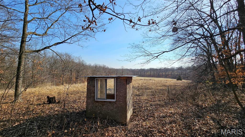 Newport Meadows future Dev - Farm