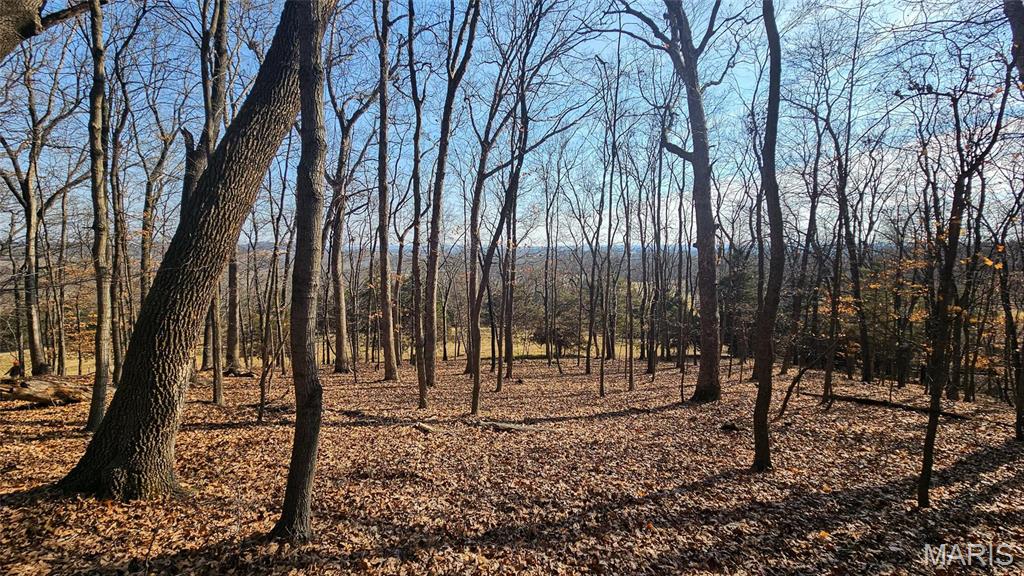 Newport Meadows future Dev - Farm