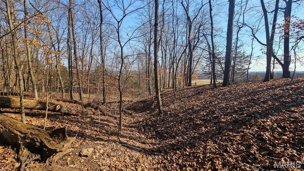 Newport Meadows future Dev - Farm