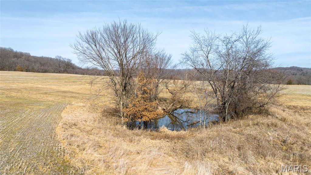 Newport Meadows future Dev - Farm