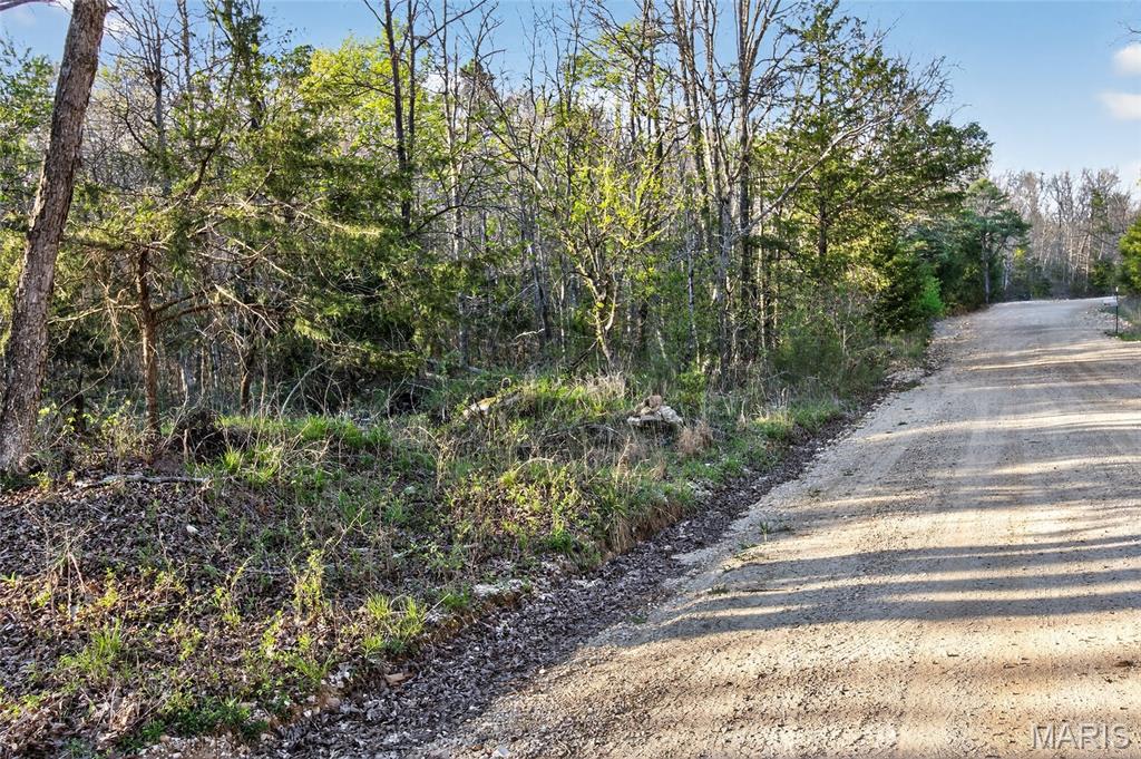 Bartlett Township - Land