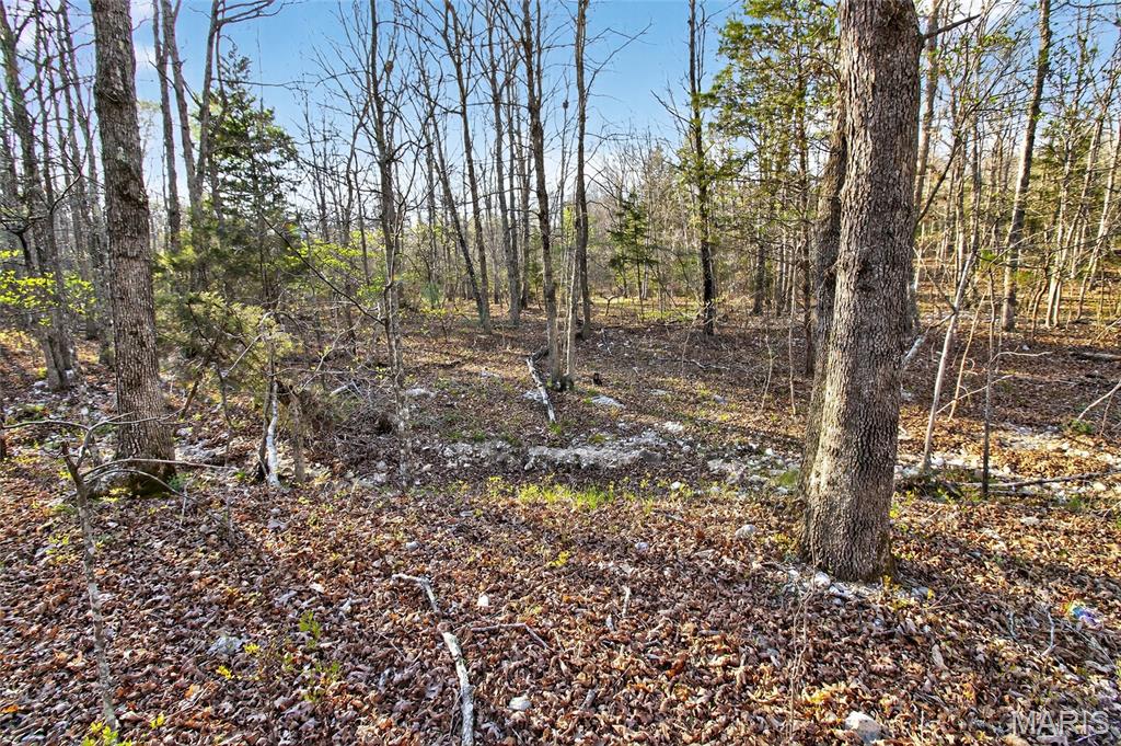 Bartlett Township - Land