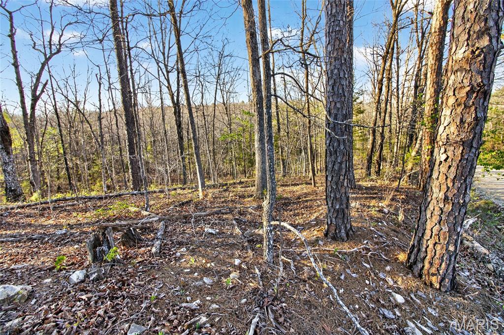 Bartlett Township - Land
