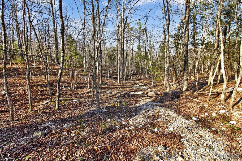 Bartlett Township - Land