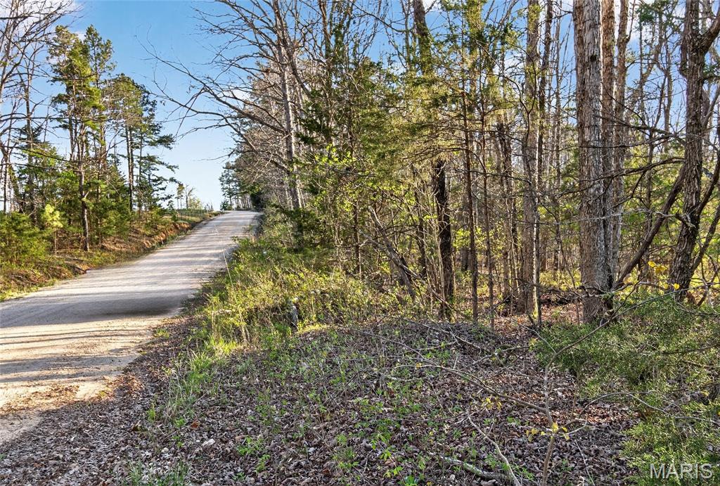 Bartlett Township - Land