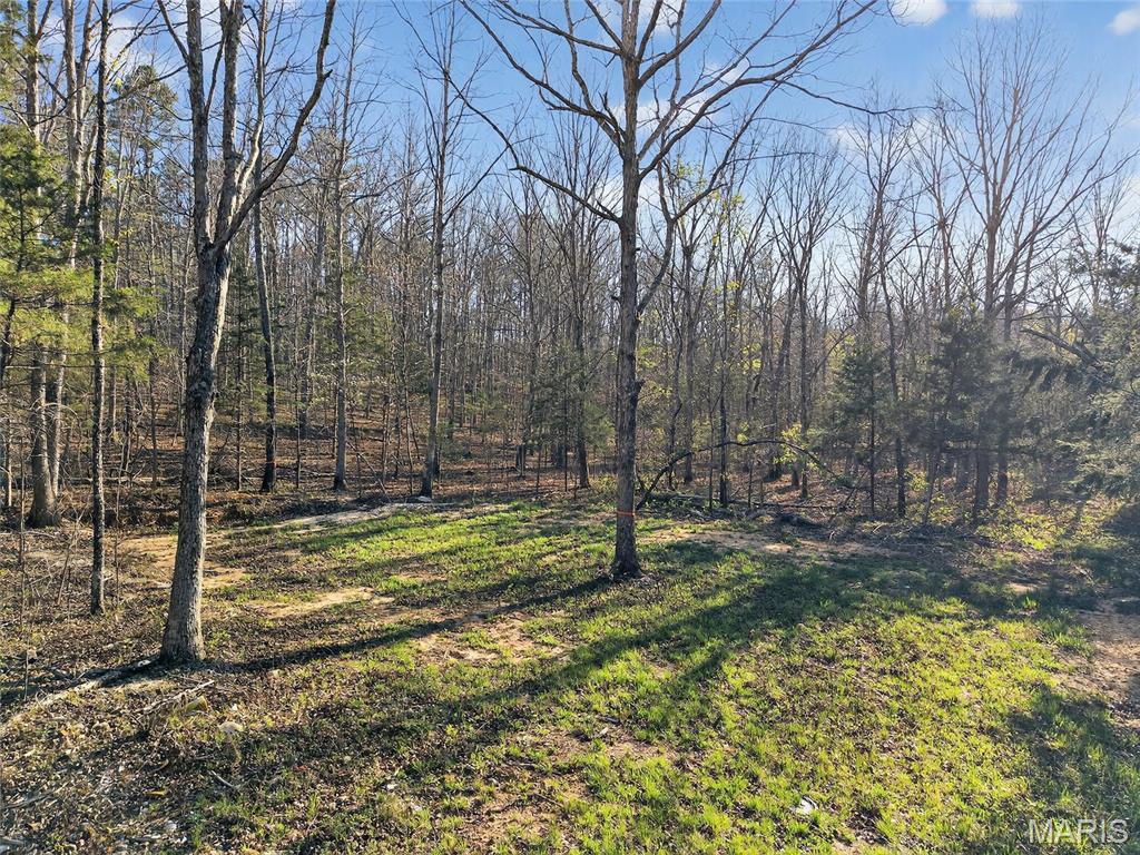 Bartlett Township - Land