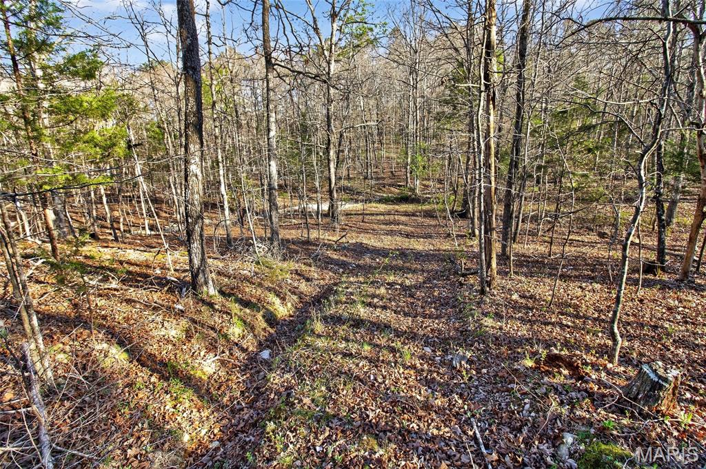 Bartlett Township - Land