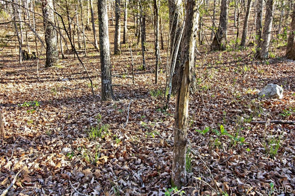 Bartlett Township - Land