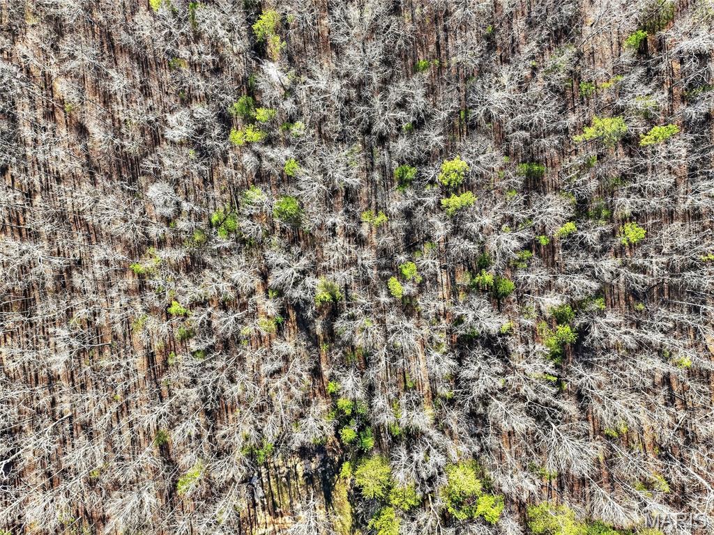 Bartlett Township - Land