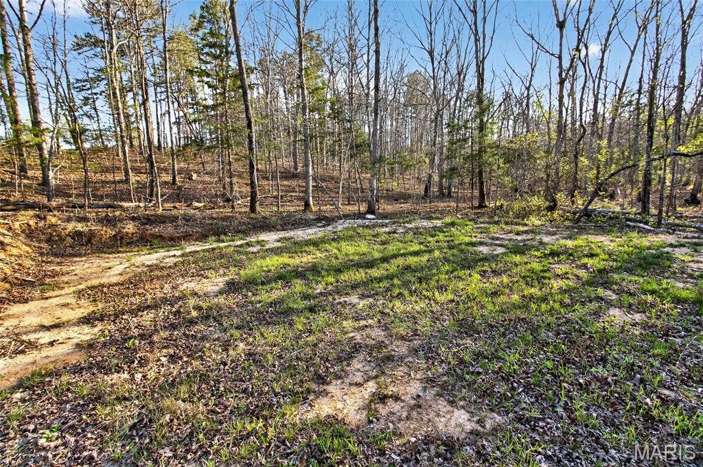 Bartlett Township - Land