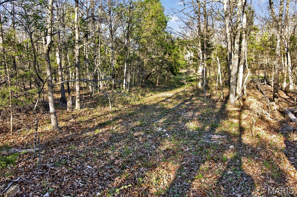 Bartlett Township - Land