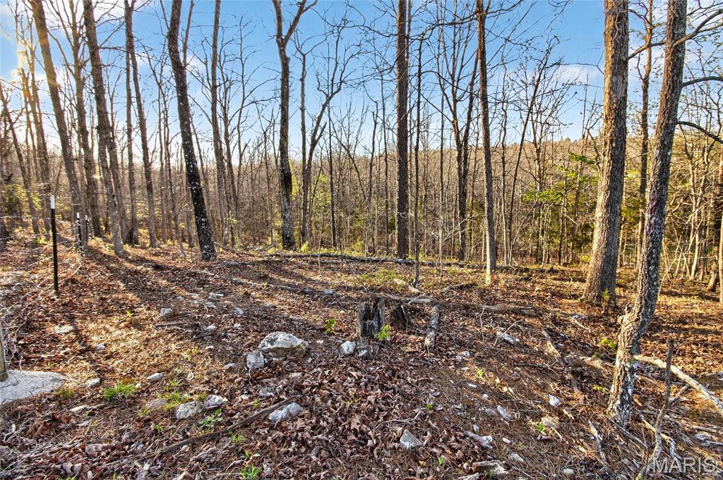 Bartlett Township - Land