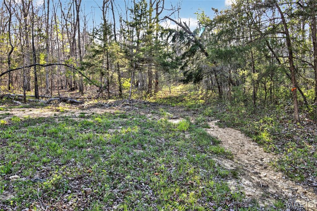 Bartlett Township - Land