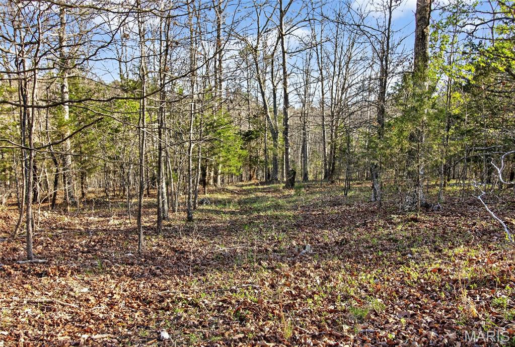 Bartlett Township - Land