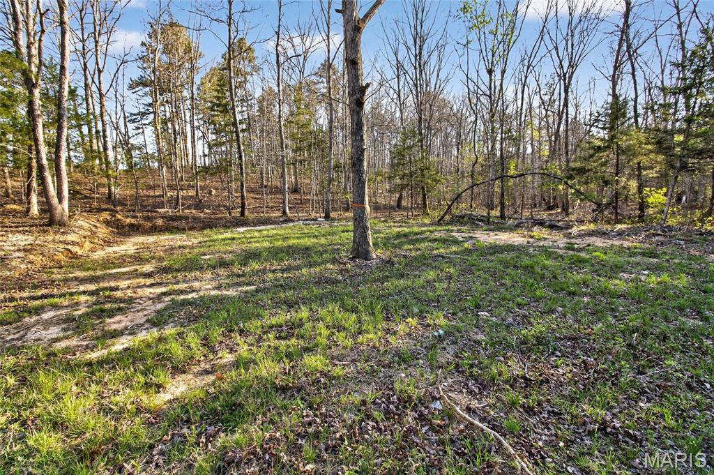 Bartlett Township - Land