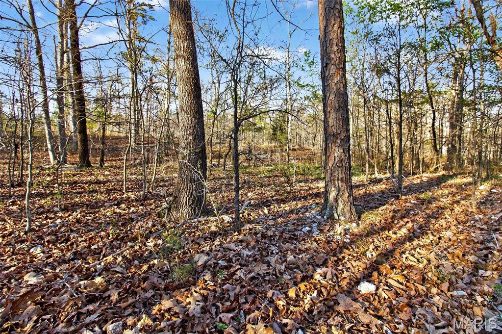 Bartlett Township - Land