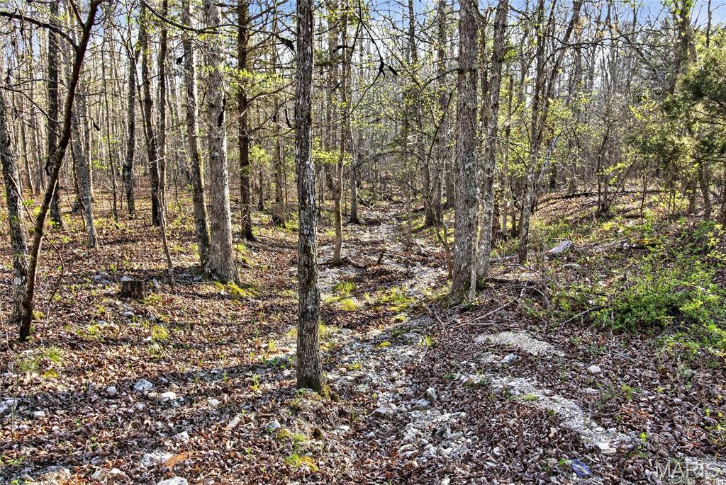Bartlett Township - Land