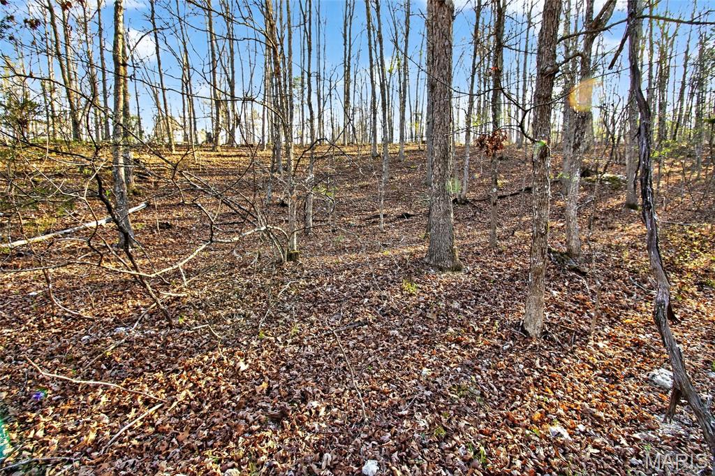 Bartlett Township - Land