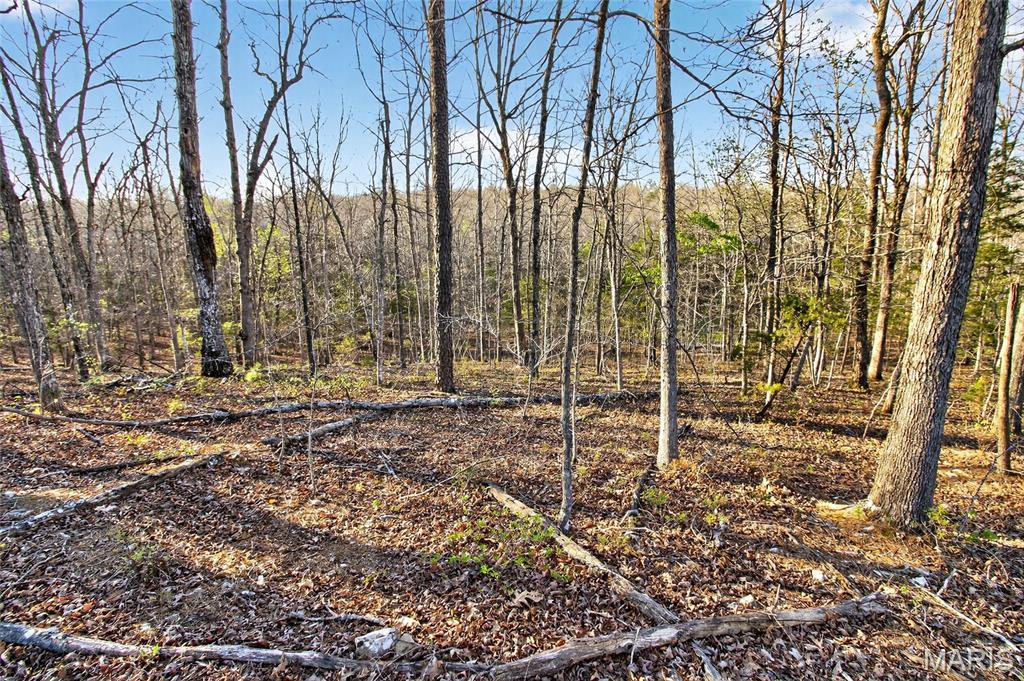 Bartlett Township - Land