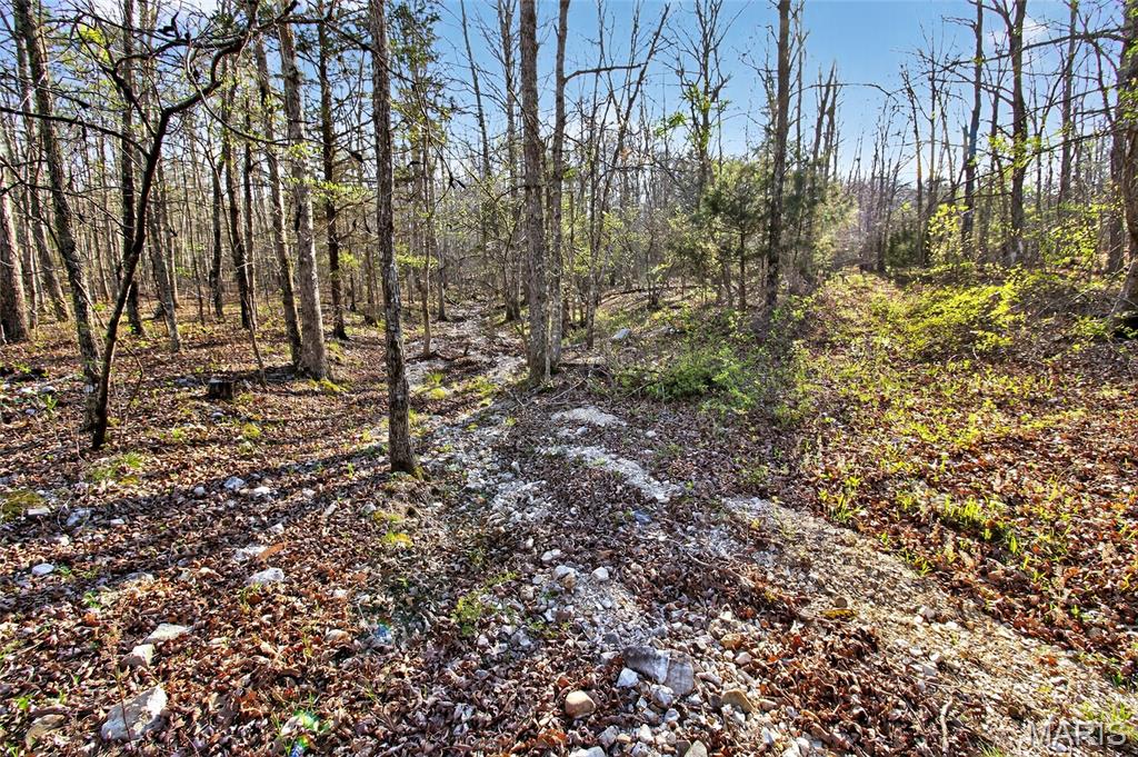 Bartlett Township - Land