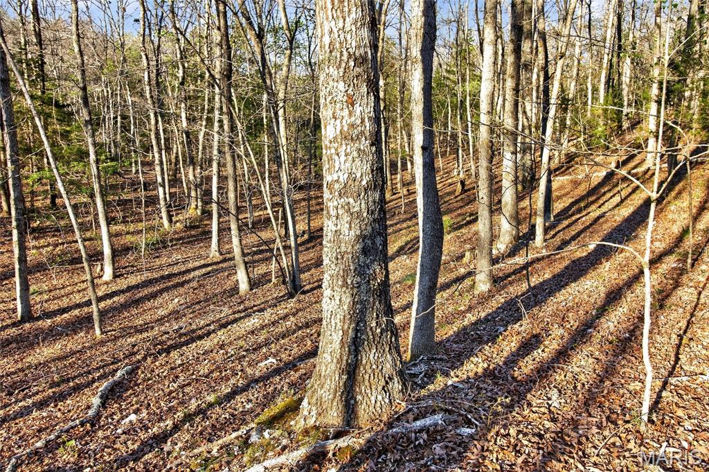 Bartlett Township - Land