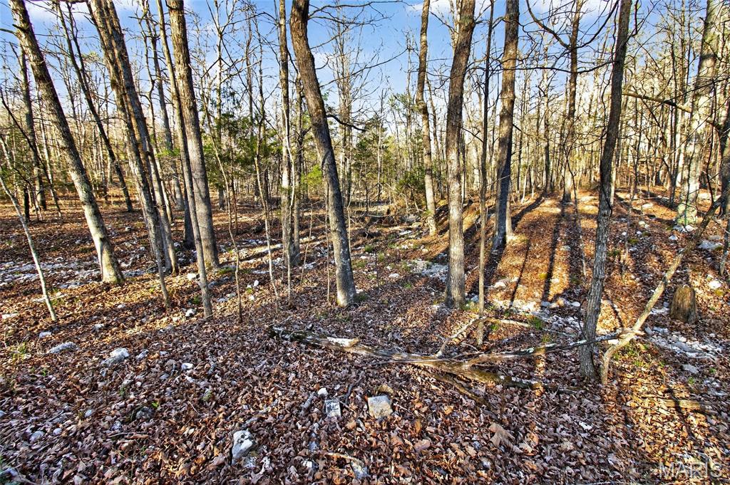 Bartlett Township - Land