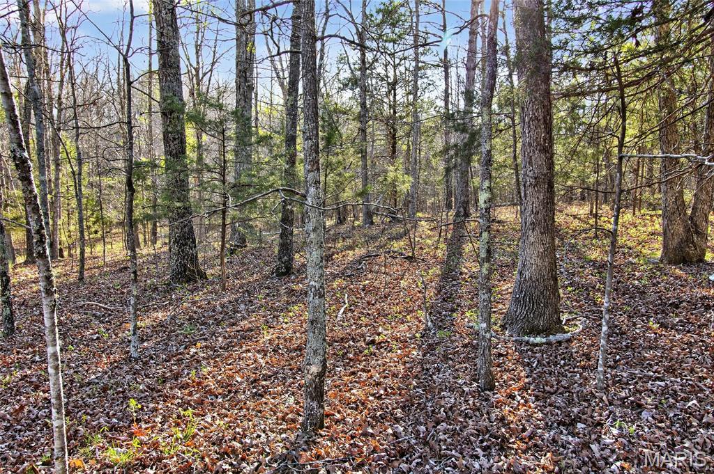 Bartlett Township - Land