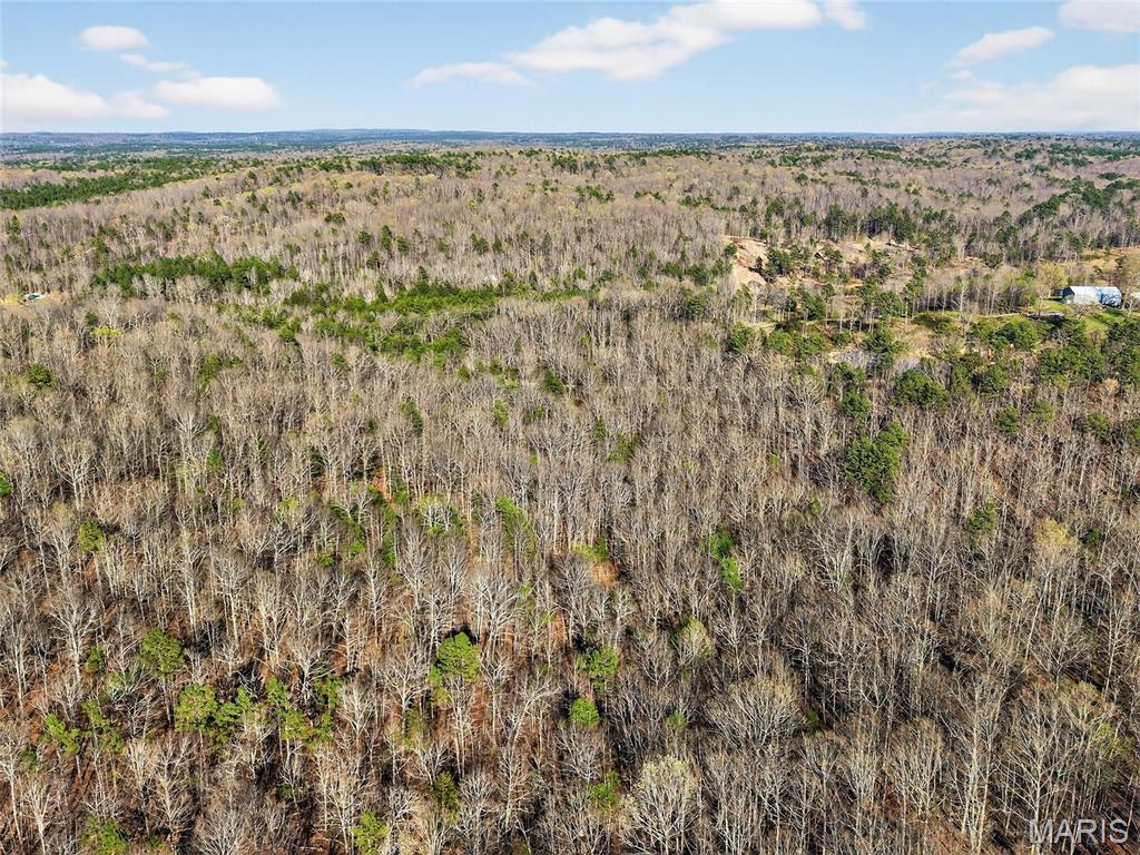 Bartlett Township - Land