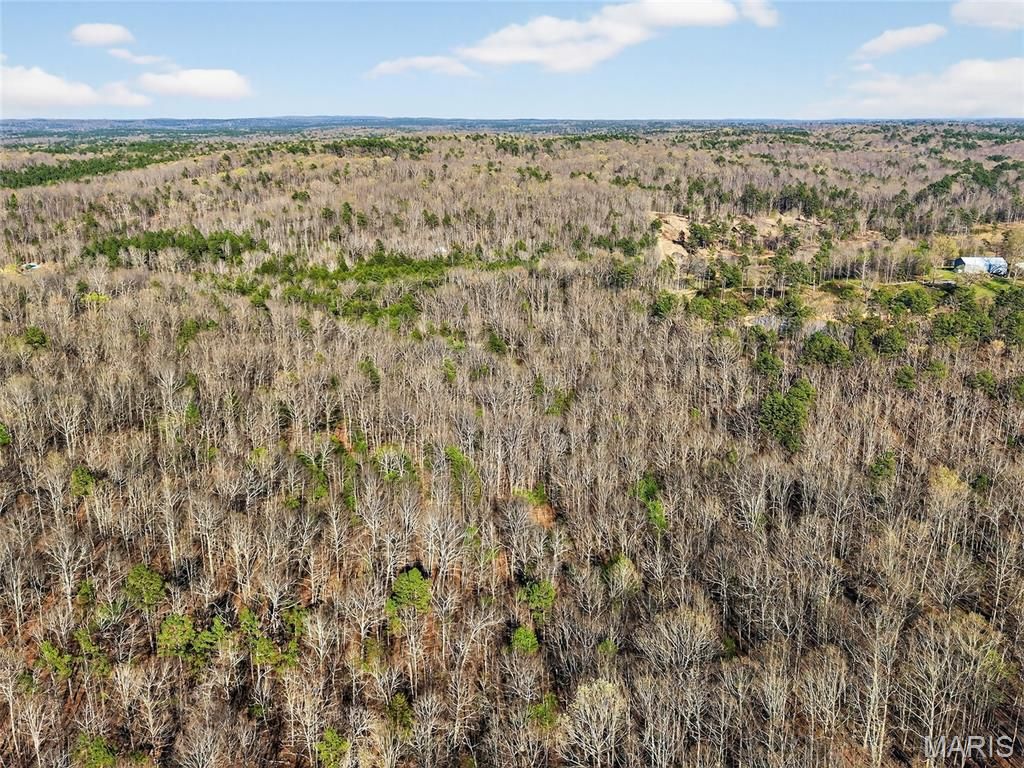 Photo of 000 County Road 421, Birch Tree, MO 65438 (MLS # 26020817)