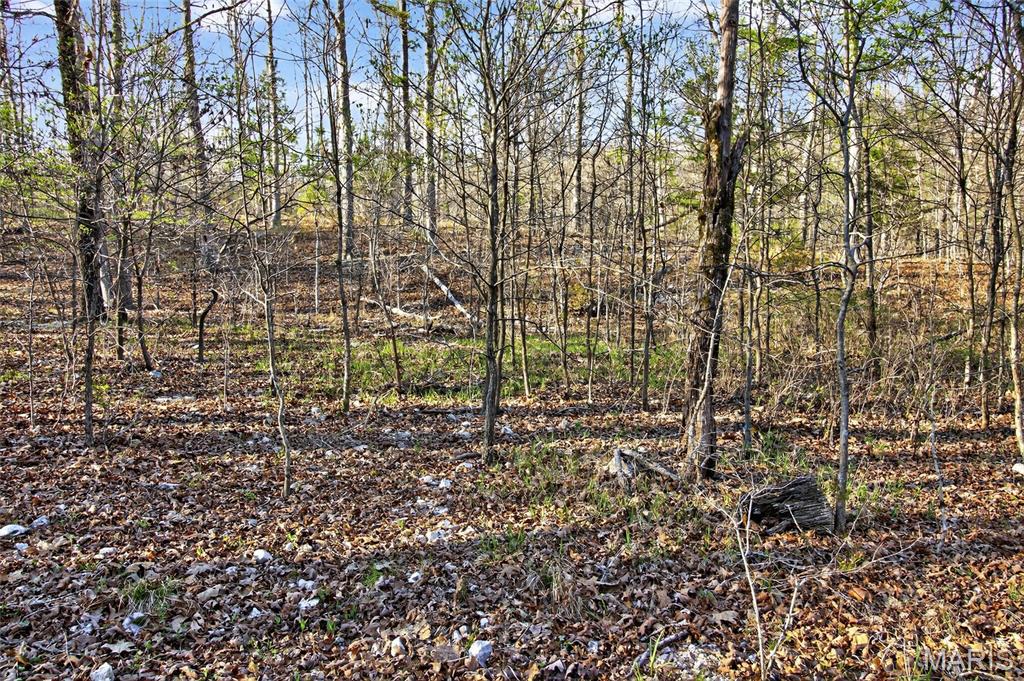 Bartlett Township - Land