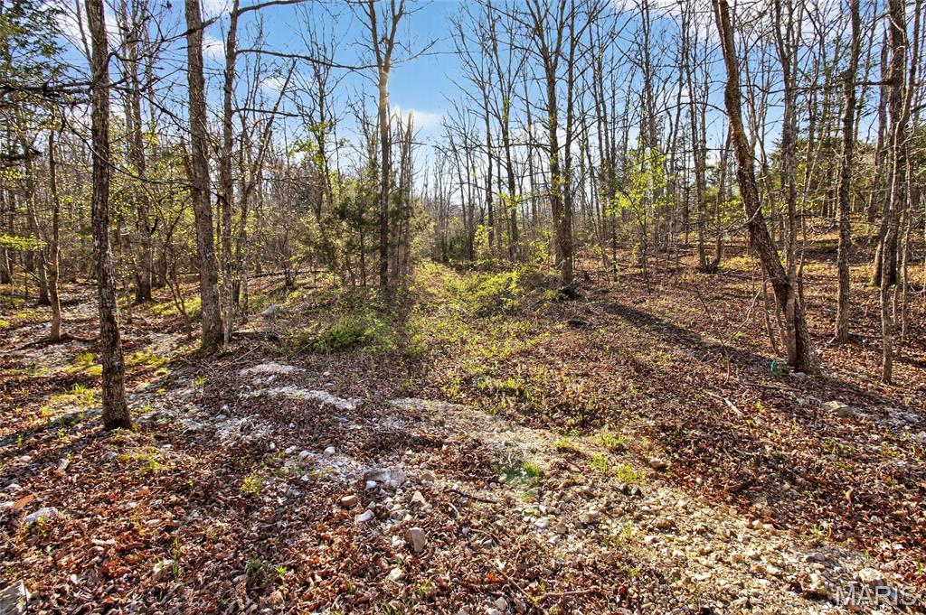 Bartlett Township - Land
