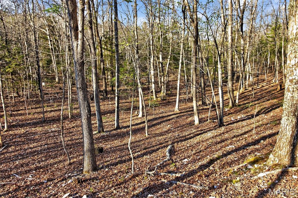Bartlett Township - Land