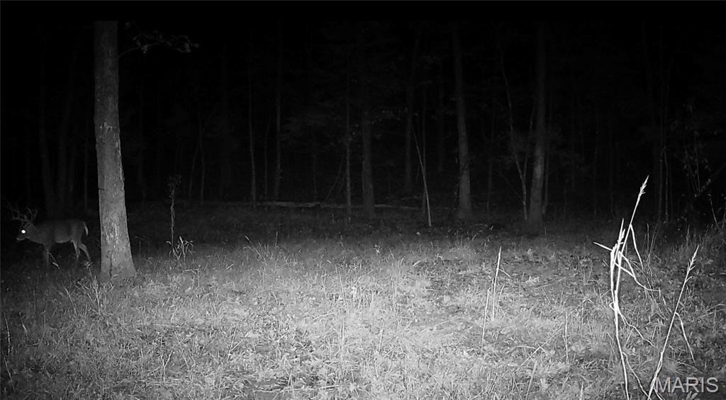 Bartlett Township - Land