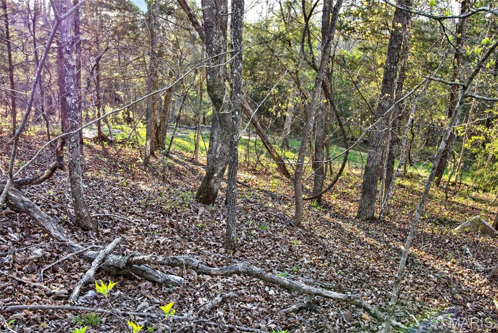 Bartlett Township - Land