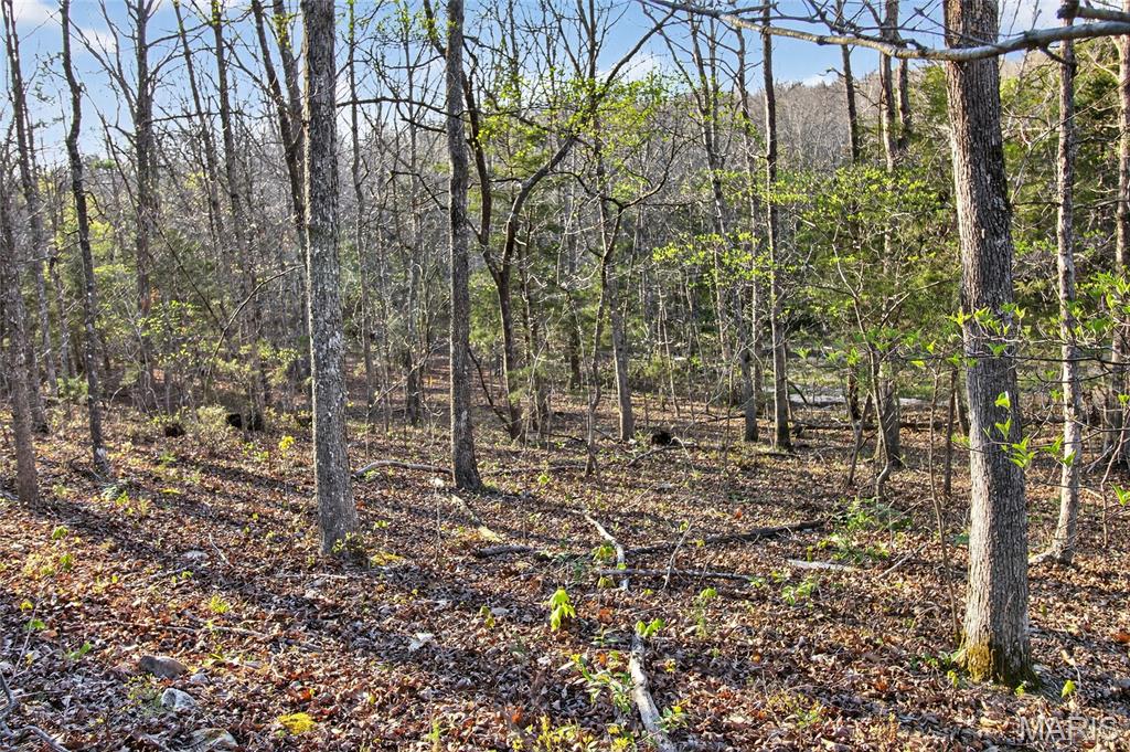 Bartlett Township - Land
