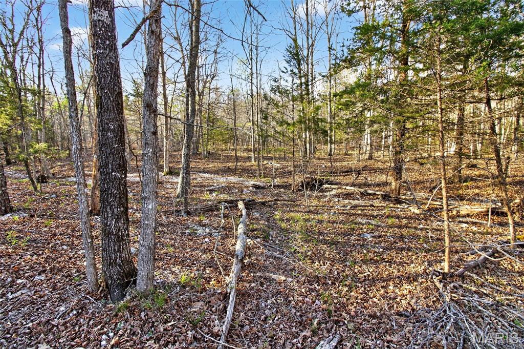 Bartlett Township - Land